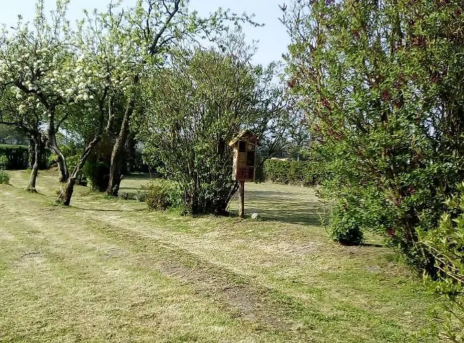 La Hulotte Au Col Haut